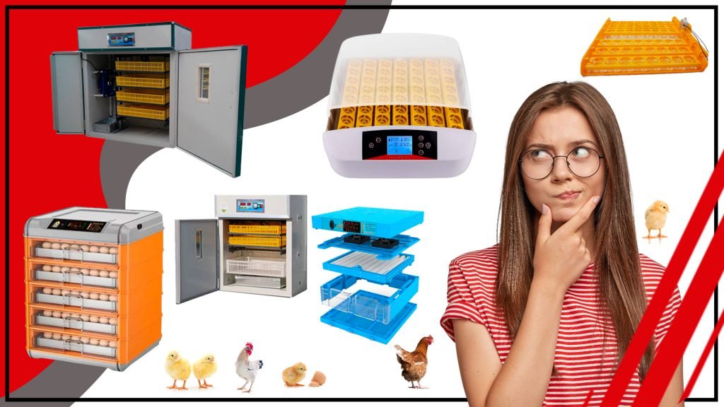 Como elegir el accesorio de incubacion adecuado para tu proyecto 1024x576 - Cómo elegir el accesorio de incubación adecuado para tu proyecto