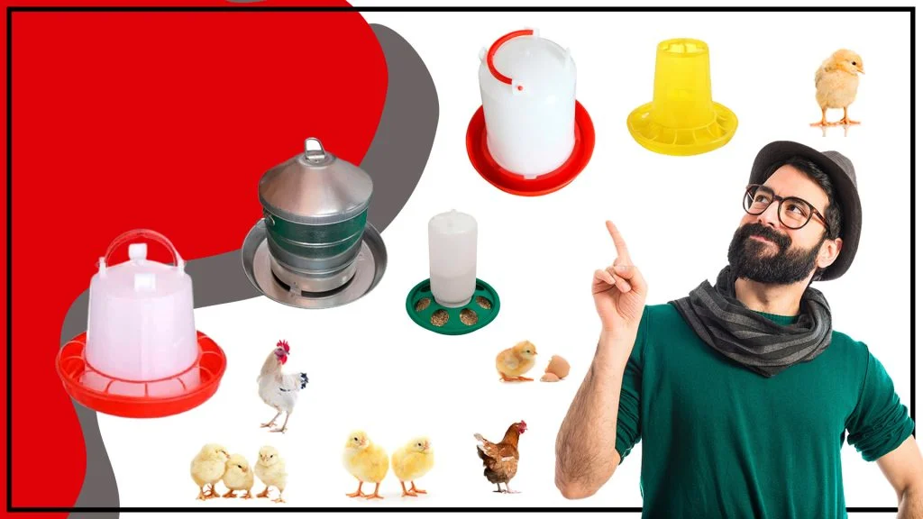 Como elegir el mejor comedero para tu gallinero 1024x576 - Cómo elegir el mejor comedero para tu gallinero