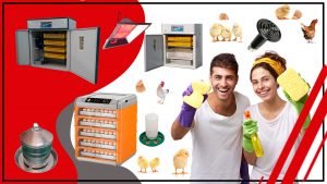 Como evitar la contaminacion en los accesorios de incubacion de huevos 123 300x169 - Cómo evitar la contaminación en los accesorios de incubación de huevos