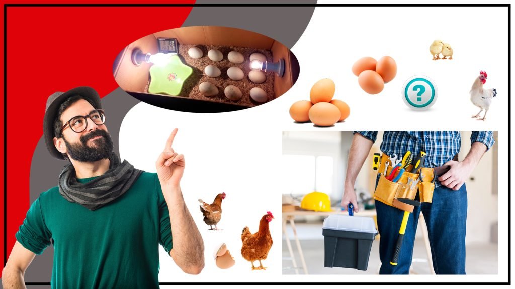 Como hacer un incubador de huevos casero 1024x576 - Cómo hacer un incubador de huevos casero