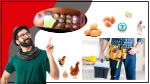 Como hacer un incubador de huevos casero 300x169 - Cómo hacer un incubador de huevos casero