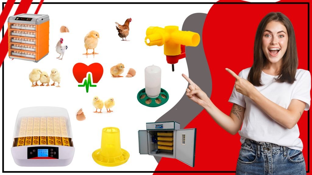 Como mejorar la incubacion de tus huevos con los accesorios adecuados 1024x576 - Cómo mejorar la incubación de tus huevos con los accesorios adecuados