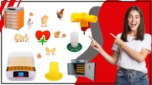 Como mejorar la incubacion de tus huevos con los accesorios adecuados 300x169 - Cómo mejorar la incubación de tus huevos con los accesorios adecuados