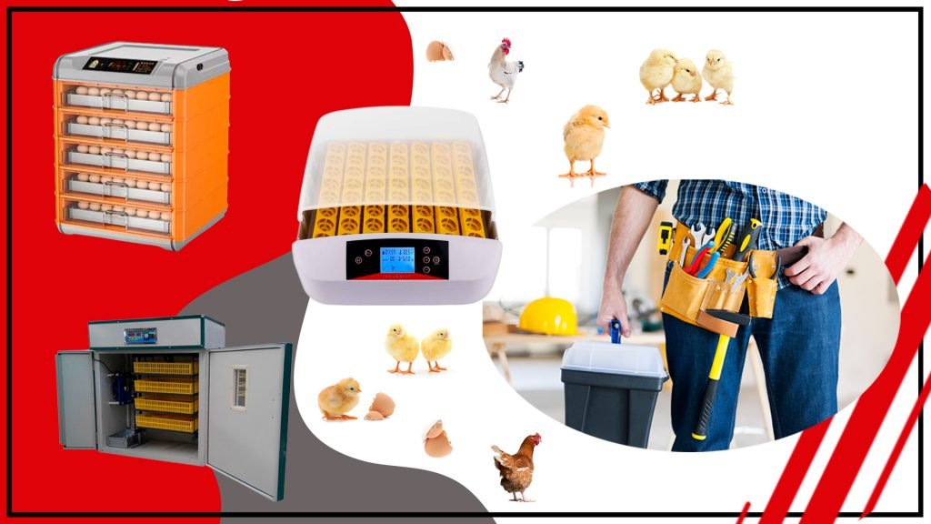 Construye tu propio accesorio de incubacion Guia paso a paso 1024x576 - Construye tu propio accesorio de incubación: Guía paso a paso