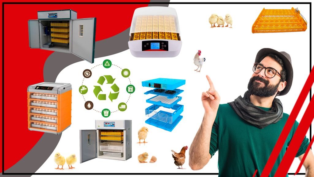 El impacto de los accesorios de incubacion en la biodiversidad 1 1024x576 - El impacto de los accesorios de incubación en la biodiversidad