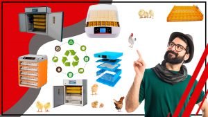 El impacto de los accesorios de incubacion en la biodiversidad 1 300x169 - El impacto de los accesorios de incubación en la biodiversidad