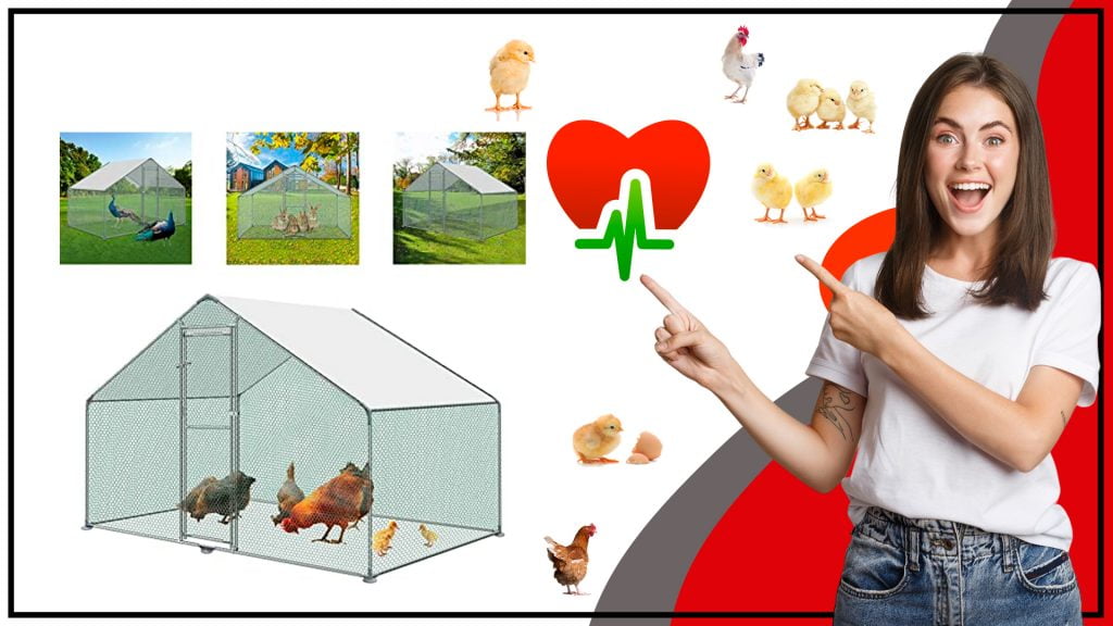 El mejor gallinero y mantener a tus aves sanas y felices 1024x576 - El mejor gallinero y mantener a tus aves sanas y felices