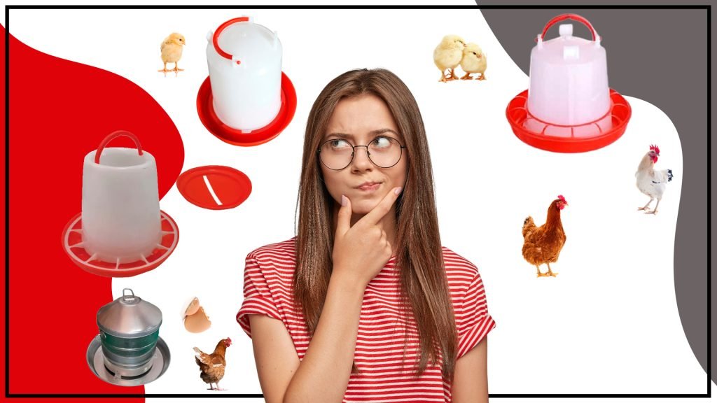 Factores a considerar al elegir comederos para gallinas 1024x576 - Factores a considerar al elegir comederos para gallinas
