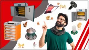 Garantiza una incubacion exitosa con los mejores accesorios 300x169 - Garantiza una incubación exitosa con los mejores accesorios