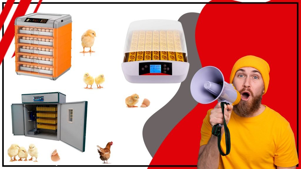 Guia definitiva para elegir el accesorio de incubacion perfecto 1024x576 - Guía definitiva para elegir el accesorio de incubación perfecto