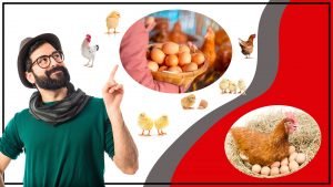 Huevos fertiles Que son y cual es su importancia 300x169 - Huevos fértiles: ¿Qué son y cuál es su importancia?