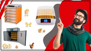 Incubacion de huevos con exito Consejos y trucos 300x169 - Incubación de huevos con éxito: Consejos y trucos