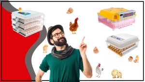 Incubadora de Huevos Sodimac Todo lo que Necesitas Saber 300x169 - Incubadora de Huevos Sodimac: Todo lo que Necesitas Saber