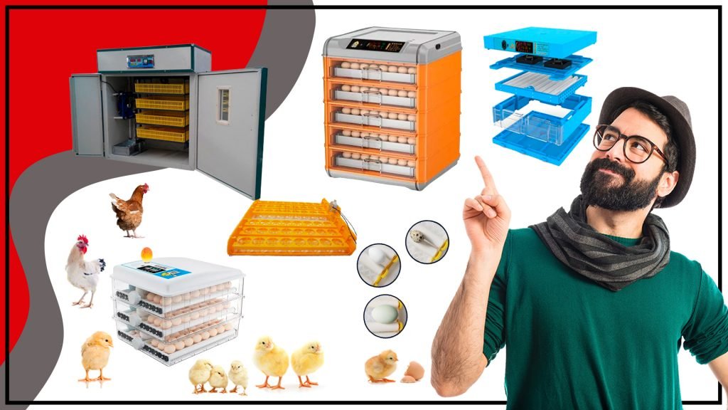 Incubadoras Automaticas La Solucion Perfecta para la Cria de Aves 1024x576 - Incubadoras Automáticas: La Solución Perfecta para la Cría de Aves