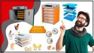 Incubadoras Automaticas La Solucion Perfecta para la Cria de Aves 300x169 - Incubadoras Automáticas: La Solución Perfecta para la Cría de Aves