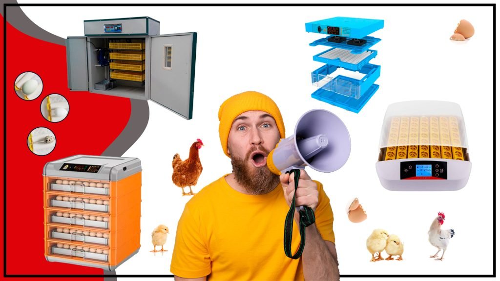 Incubadoras avicolas en Chile as 1024x576 - Incubadoras avícolas en Chile