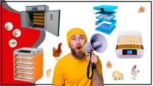 Incubadoras avicolas en Chile as 300x169 - Incubadoras avícolas en Chile