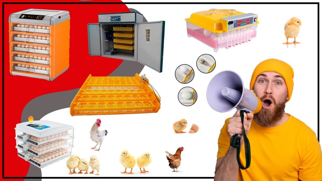 Incubadoras de huevos para aves de corral asd 1 1024x576 - Incubadoras de huevos para aves de corral