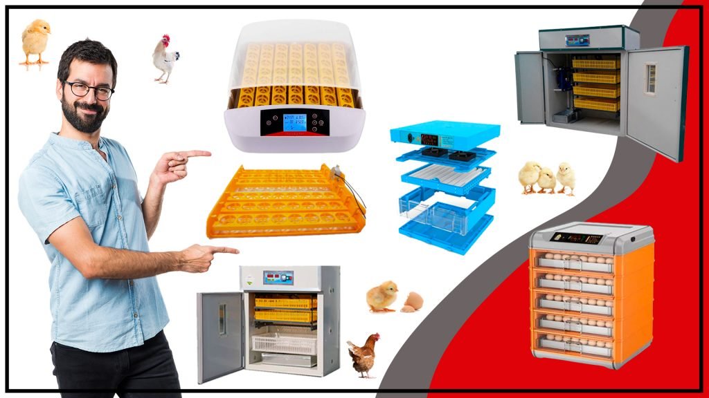 Incubadoras todo lo que necesitas saber 1024x576 - Incubadoras: todo lo que necesitas saber