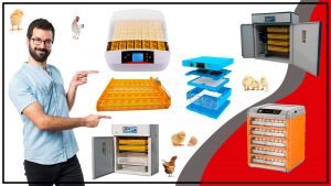 Incubadoras todo lo que necesitas saber 300x169 - Incubadoras: todo lo que necesitas saber