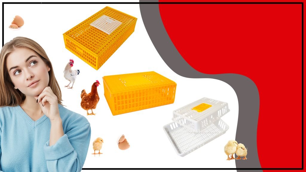 Jaulas Avicolas 1024x576 - Jaulas Avícolas