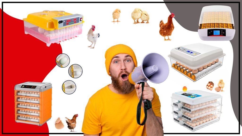 La Incubadora de Huevos de Gallina es una herramienta valiosa aasda 1024x576 - La Incubadora de Huevos de Gallina es una herramienta valiosa