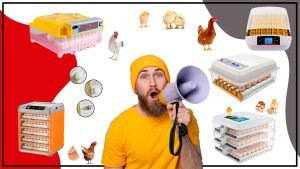 La Incubadora de Huevos de Gallina es una herramienta valiosa aasda 300x169 - La Incubadora de Huevos de Gallina es una herramienta valiosa