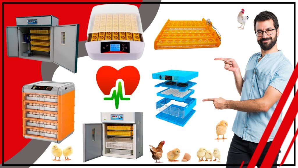 La incubadora crea un ambiente seguro y saludable para tus animales 1024x576 - La incubadora: crea un ambiente seguro y saludable para tus animales
