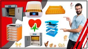 La incubadora crea un ambiente seguro y saludable para tus animales 300x169 - La incubadora: crea un ambiente seguro y saludable para tus animales
