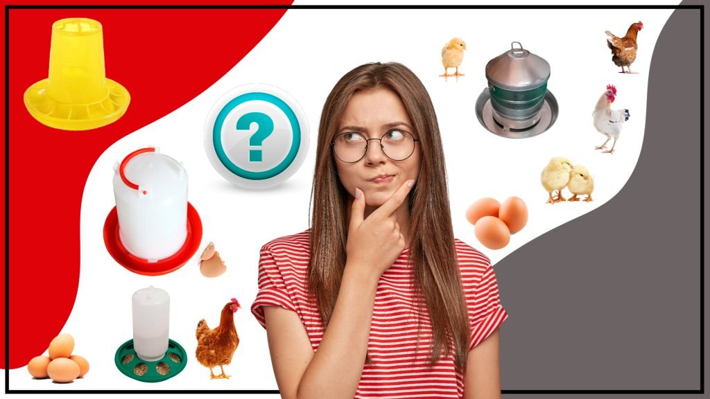 Los comederos son una parte esencial de cualquier gallinero 1024x576 - Los comederos son una parte esencial de cualquier gallinero