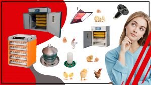 Los disenos mas innovadores en accesorios para incubar huevos 300x169 - Los diseños más innovadores en accesorios para incubar huevos