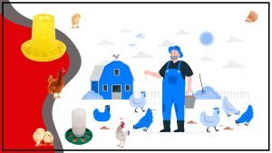 Mantener a tus gallinas bien alimentadas y saludables 300x169 - Mantener a tus gallinas bien alimentadas y saludables