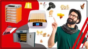 Mejora la incubacion de tus huevos con nuestros accesorios especializados 300x169 - Mejora la incubación de tus huevos con nuestros accesorios especializados
