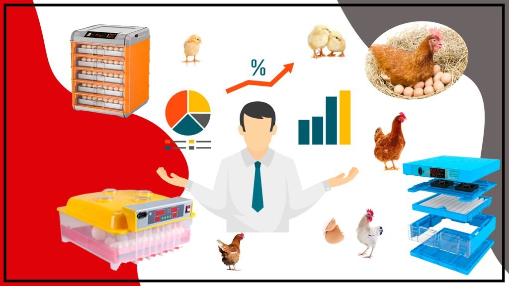 Optimizacion de la incubacion en aves para obtener pollitos sanos y fuertes 1024x576 - Optimización de la incubación en aves para obtener pollitos sanos y fuertes