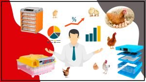 Optimizacion de la incubacion en aves para obtener pollitos sanos y fuertes 300x169 - Optimización de la incubación en aves para obtener pollitos sanos y fuertes