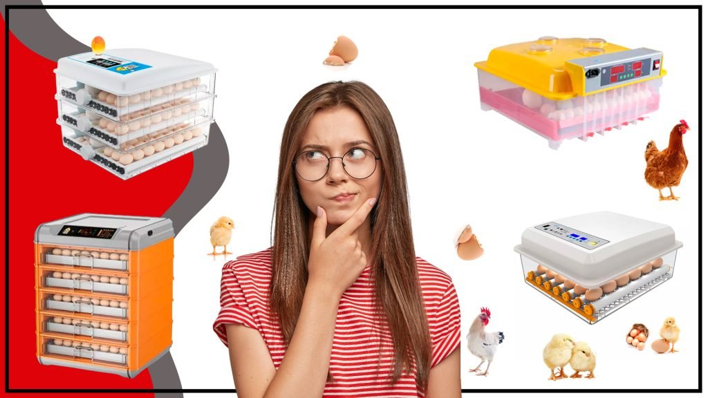 Todo lo que necesitas saber sobre Incubadoras de Pollitos 1024x576 - Todo lo que necesitas saber sobre Incubadoras de Pollitos