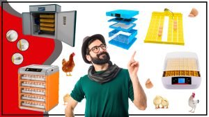 Todo lo que necesitas saber sobre los accesorios de Crianza 300x169 - Todo lo que necesitas saber sobre los accesorios de Crianza