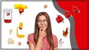 Una Guia Completa de los Dispensadores de Agua para Aves 300x169 - Bebederos Aves: Una Guía Completa de los Dispensadores de Agua para Aves