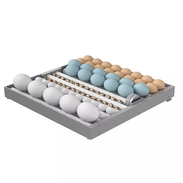 Incubadora Automática de 128 huevos