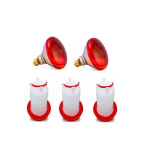 Ampolleta de 100 watts + Bebederos pollito