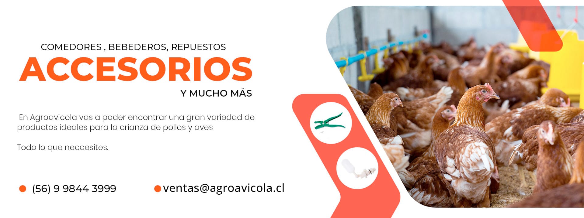 BANERS POLLOS AGROAVICOLA 1 1 - Agroavicola
